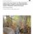 2010 Bandelier NM Aquatic Macroinvertebrates Monitoring