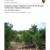 2010 Bandelier NM Integrated Upland Monitoring