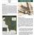 2010 Amistad NRA Landbird Monitoring