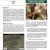 2010 Fort Davis NHS Landbird Monitoring