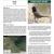 2010 Guadalupe Mountains NP Landbird Monitoring