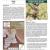 2010 Lake Meredith NRA Landbird Monitoring