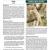 2010 Lyndon B Johnson NHP Landbird Monitoring