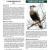 2010 Organ Pipe Cactus NM Landbird Monitoring