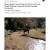 2010 Canyon de Chelly NM Water Quality Monitoring