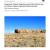 2009 Chaco Culture NHP Integrated Upland Monitoring
