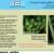 ID Card  Poison hemlock Conium maculatum