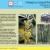 ID Card  Russian olive Elaeagnus angustifolia