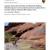2011 Glen Canyon NRA Aquatic Macroinvertebrate Monitoring