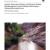 2009 Glen Canyon NRA Aquatic Macroinvertebrate Monitoring