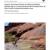 2010 Glen Canyon NRA Aquatic Macroinvertebrate Monitoring