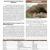 Tonto NM Dendrochronology