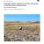 2009 Petrified Forest NP Integrated Upland Monitoring
