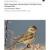 2009 Petrified Forest NP Bird Community Monitoring