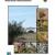 Plants of Casa Grande Ruins National Monument