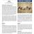 Sand Creek Massacre NHS Bird Communities