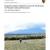 2010 Wupatki NM Integrated Upland Monitoring