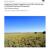 2009 Wupatki NM Integrated Upland Monitoring