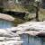 Saguaro NP Madrona Pools Pulse study