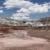 Petrified Forest NP