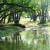 Sand Creek Massacre NHS Riparian Forest Age Structure  Past Hydroclimate