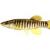 Sand Creek Massacre NHS Fish Survey