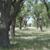 Sand Creek Massacre Project Site Location Study