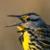 Washita Battlefield NHS Baseline Avian Inventory 